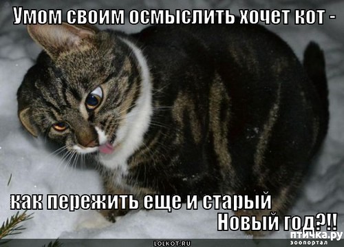 ���� 3: ��������������� �����������! � ����������!!!