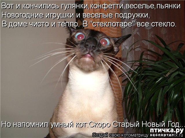 ���� 5: ��������������� �����������! � ����������!!!