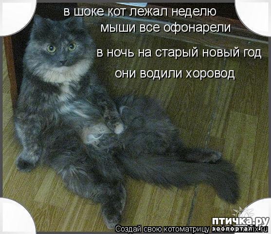 ���� 6: ��������������� �����������! � ����������!!!