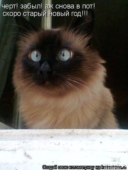 ���� 7: ��������������� �����������! � ����������!!!