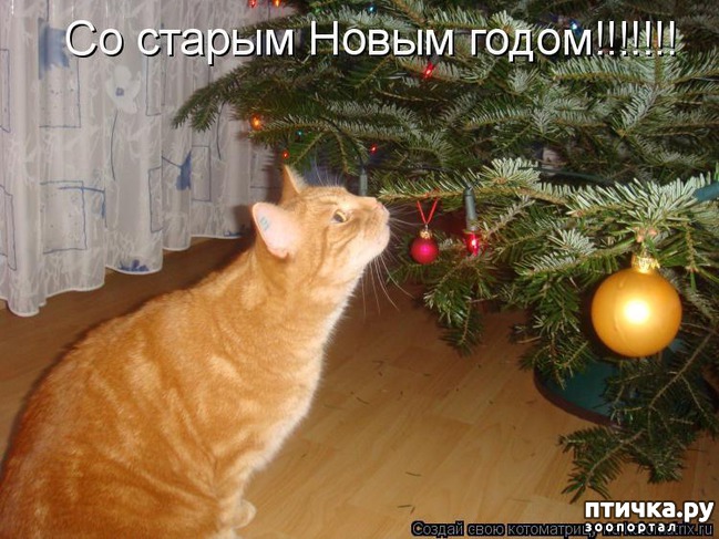 ���� 8: ��������������� �����������! � ����������!!!