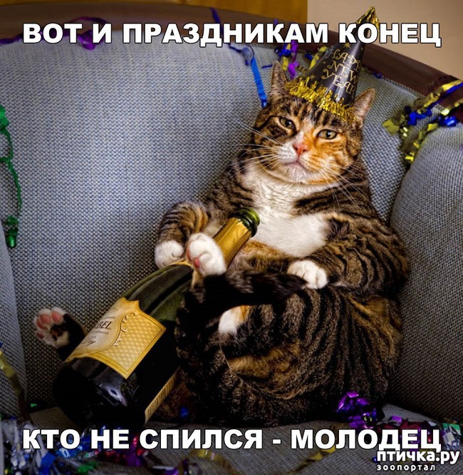 ���� 9: ��������������� �����������! � ����������!!!