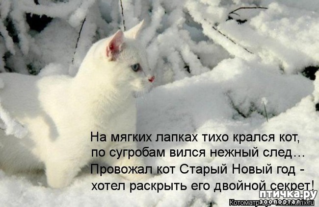 ���� 11: ��������������� �����������! � ����������!!!