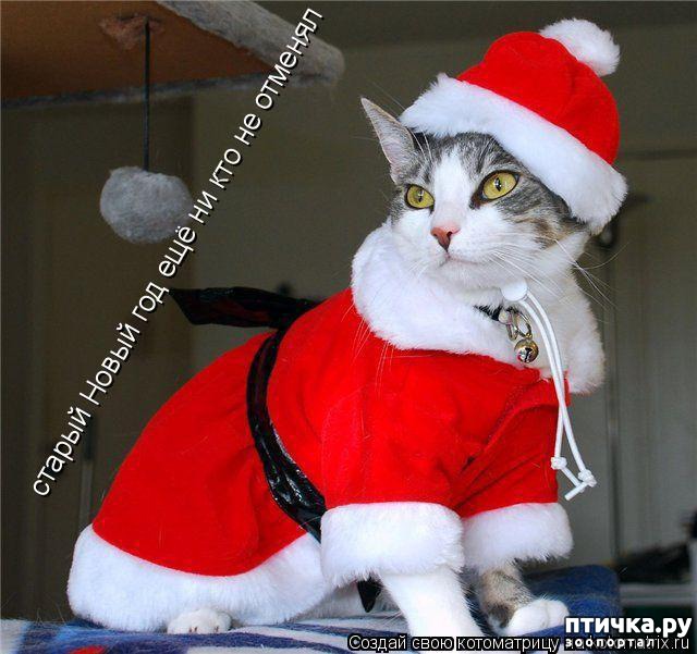 ���� 12: ��������������� �����������! � ����������!!!