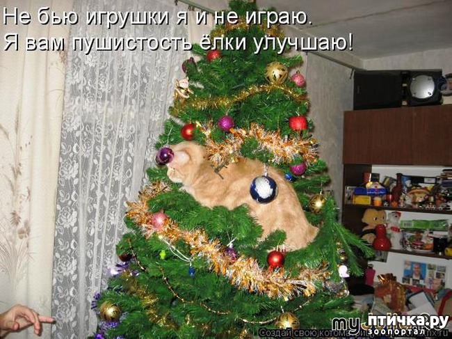 ���� 13: ��������������� �����������! � ����������!!!