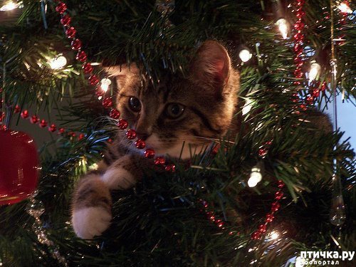 ���� 14: ��������������� �����������! � ����������!!!