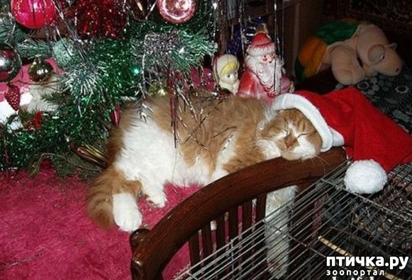 ���� 15: ��������������� �����������! � ����������!!!