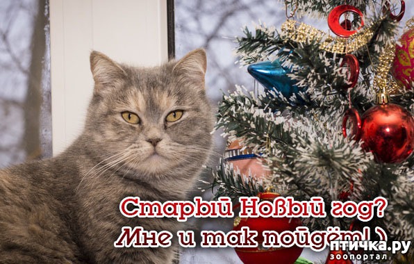 ���� 16: ��������������� �����������! � ����������!!!