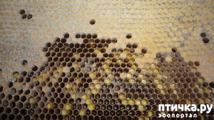 ����: ��� ������, �����, ��������!