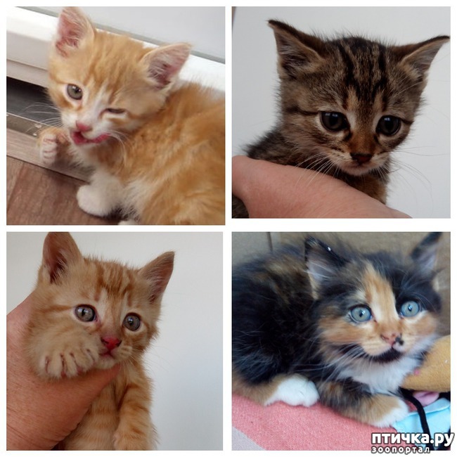 ���� 2: ������ ������������!