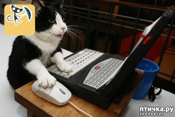 ���� 1: ������� ����