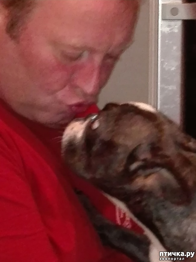 ���� 1: � ���������?