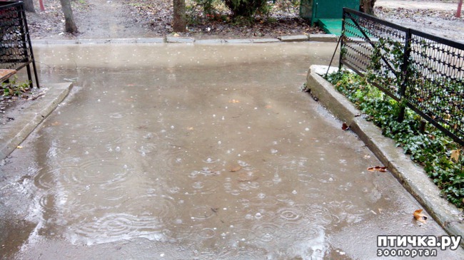 ���� 4: ������ ������������!