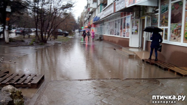 ���� 5: ������ ������������!