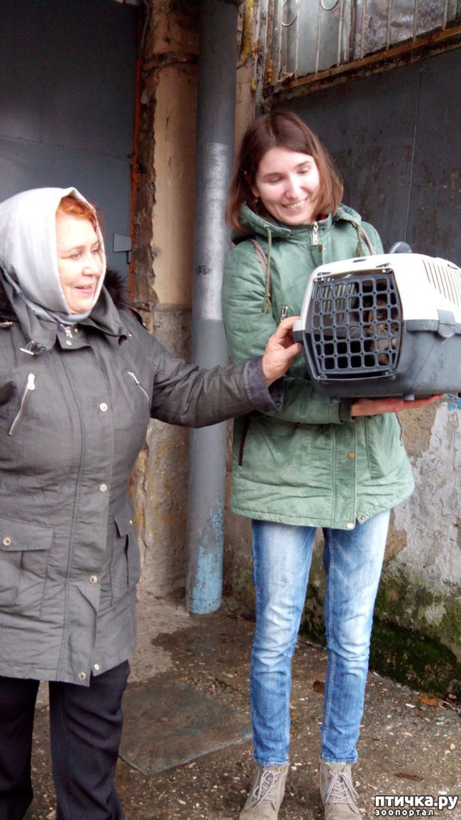 ���� 6: ������ ������������!