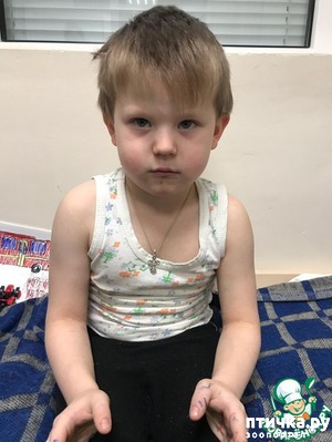 ����: ������ ������, ������������ � ������.