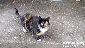 ����: ������ ������������!