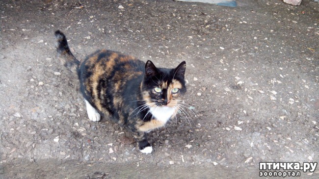 ���� 1: ������ ������������!