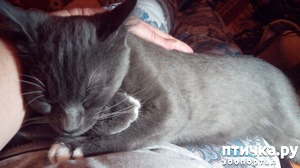 ����: ���� �������