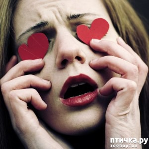 ���� 1: ������ ������