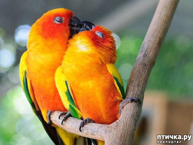 ���� 2: �����������.