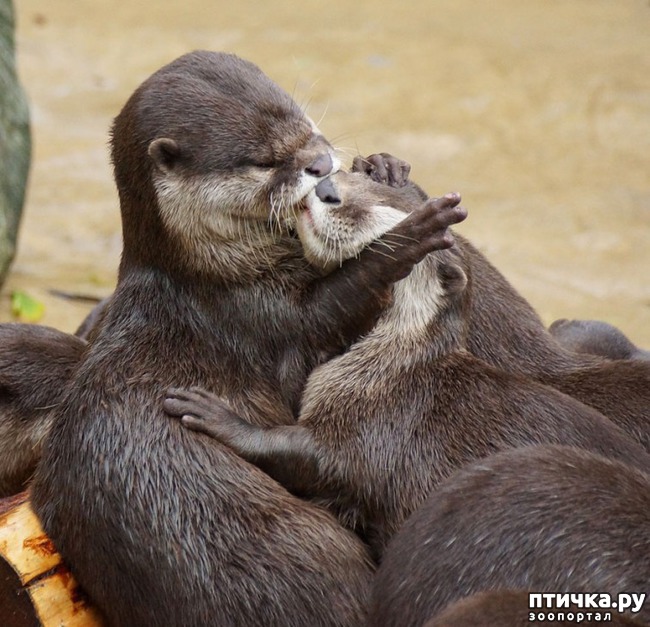 ���� 10: �����������.