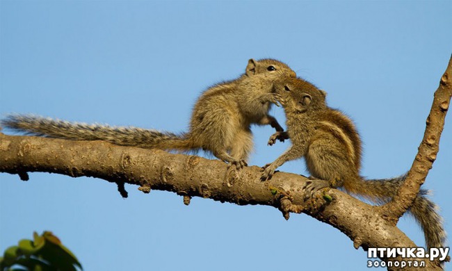 ���� 13: �����������.