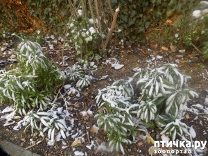 ����: �������, ��� ������? ����, ��� �� ����?