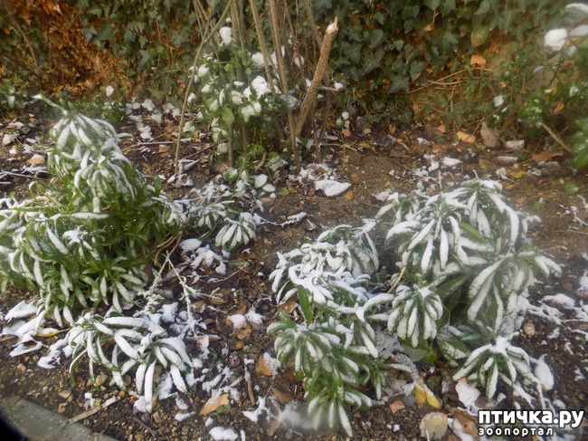 ���� 1: �������, ��� ������? ����, ��� �� ����?