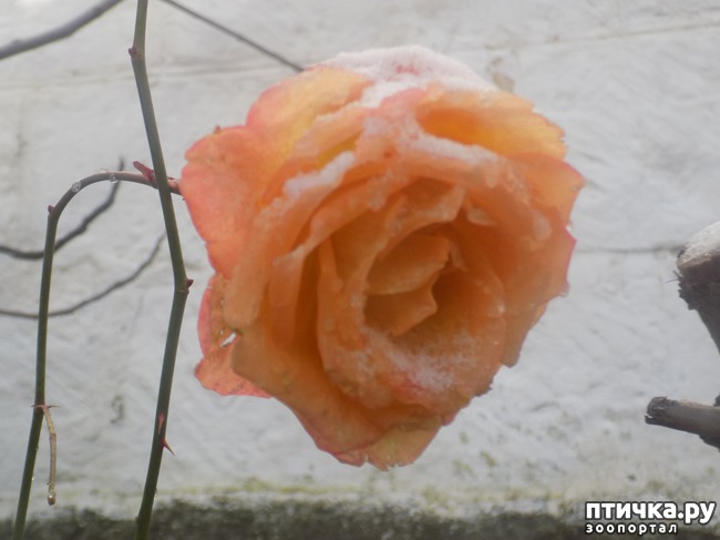 ���� 2: �������, ��� ������? ����, ��� �� ����?