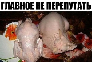 ����: ������� �� ����������