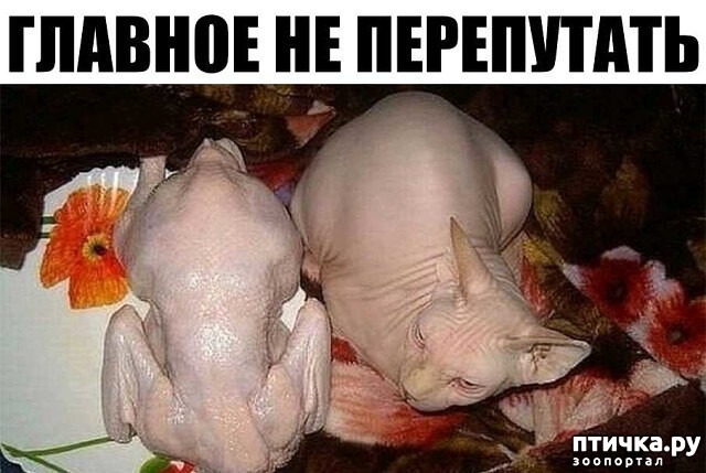 ���� 1: ������� �� ����������