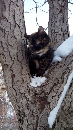 ����: ������� ���������!