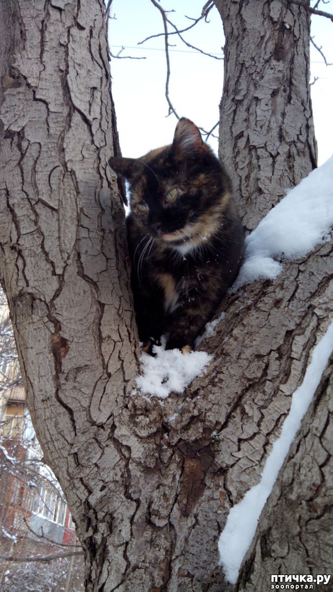 ���� 1: ������� ���������!