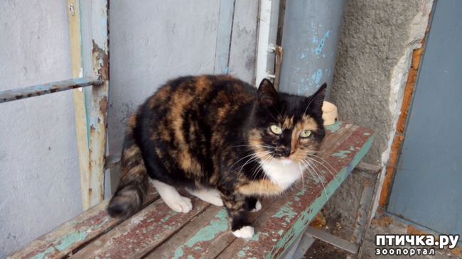 ���� 2: ������� ���������!