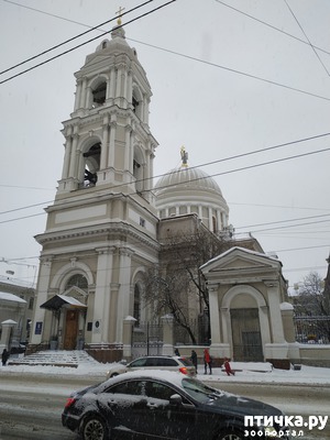 ����: ����� "������ ����"