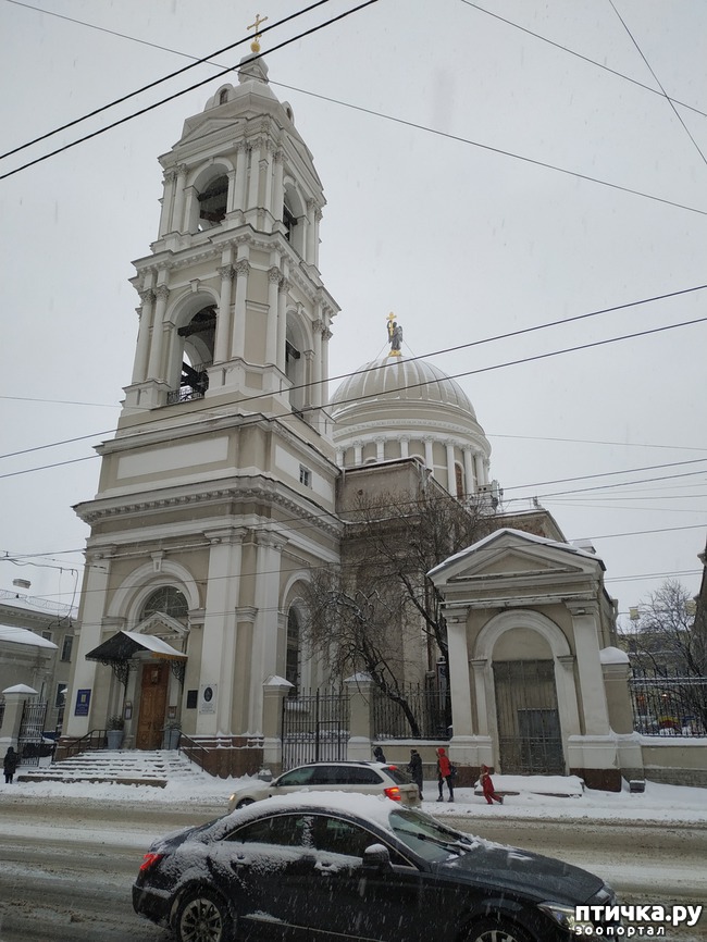 ���� 1: ����� 