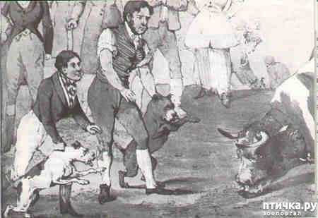 ���� 1: ����� � ���������� �������