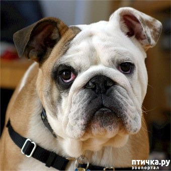 ���� 2: ����� � ���������� �������