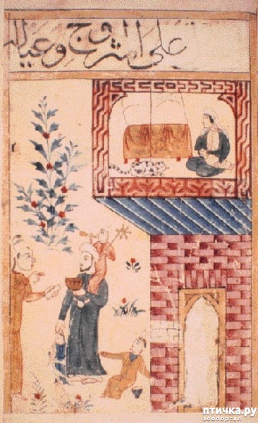 ���� 2: ���� � ��� ��� ��� VIP-�����