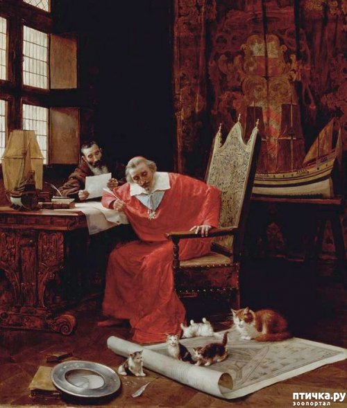 ���� 3: ���� � ��� ��� ��� VIP-�����