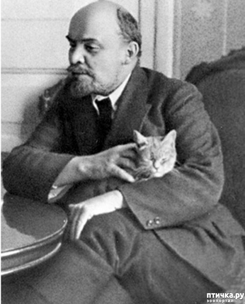 ���� 4: ���� � ��� ��� ��� VIP-�����