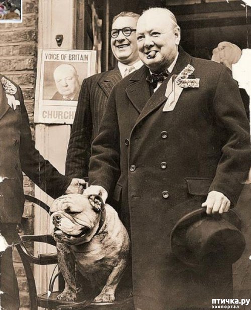 ���� 6: ���� � ��� ��� ��� VIP-�����