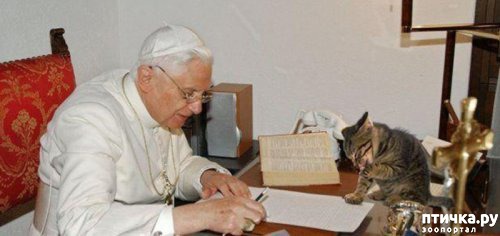 ���� 7: ���� � ��� ��� ��� VIP-�����