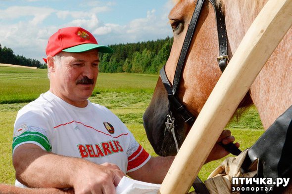 ���� 8: ���� � ��� ��� ��� VIP-�����