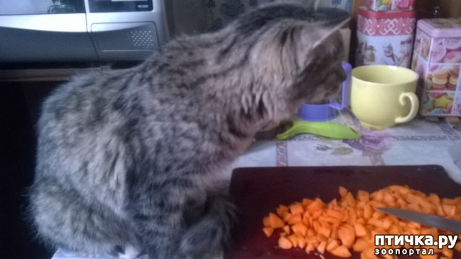 ���� 2: ������������ 