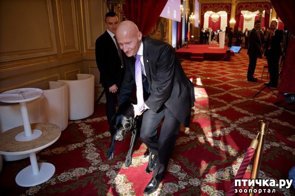 ���� 10: ���� � ��� ��� ��� VIP-�����