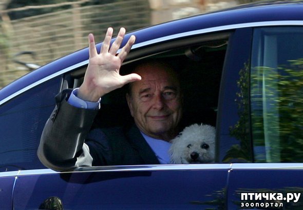 ���� 11: ���� � ��� ��� ��� VIP-�����