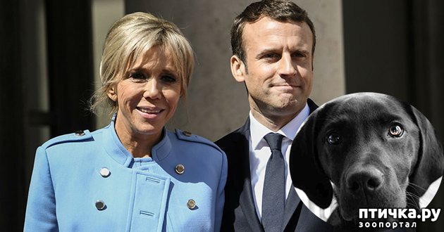 ���� 12: ���� � ��� ��� ��� VIP-�����