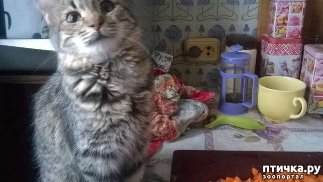 ���� 3: ������������ 